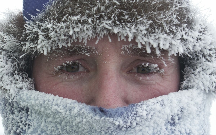 "Antarktyda: rok na lodzie" – wyjątkowy film w kinach Multikino!